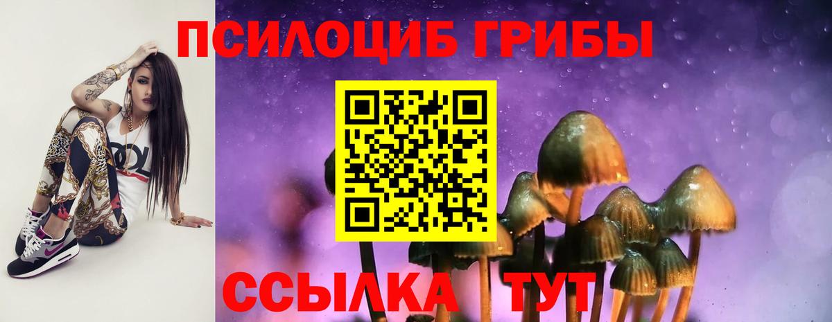 Великий Новгород  Псилоцибиновые грибы прущие грибы  Галлюциногенные грибы GOLDEN TEACHER  как найти закладки  Вход с VPN 